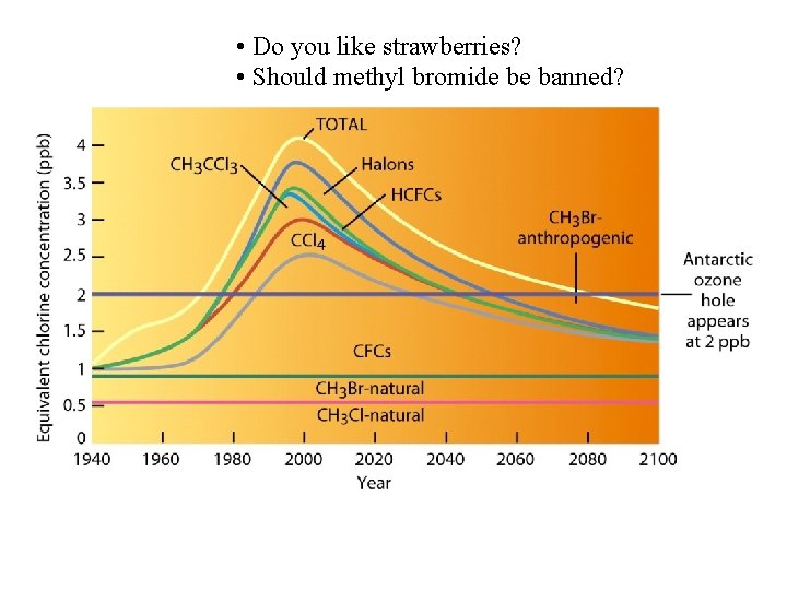  • Do you like strawberries? • Should methyl bromide be banned? 