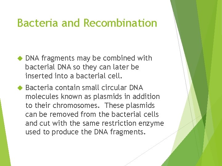 Bacteria and Recombination DNA fragments may be combined with bacterial DNA so they can