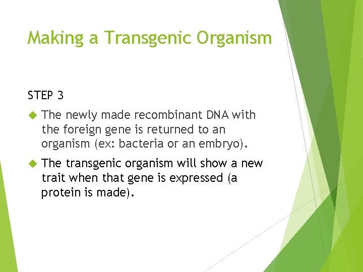 Making a Transgenic Organism STEP 3 The newly made recombinant DNA with the foreign