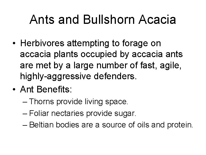 Ants and Bullshorn Acacia • Herbivores attempting to forage on accacia plants occupied by