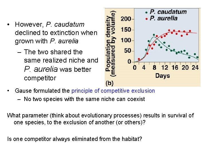  • However, P. caudatum declined to extinction when grown with P. aurelia –