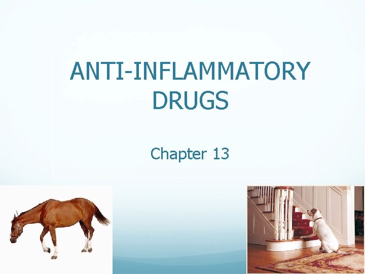 ANTI-INFLAMMATORY DRUGS Chapter 13 