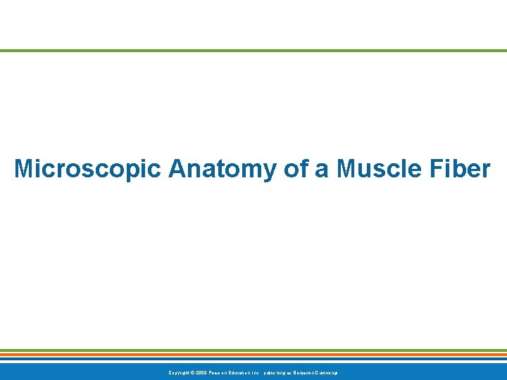 Microscopic Anatomy of a Muscle Fiber Copyright © 2009 Pearson Education, Inc. , publishing