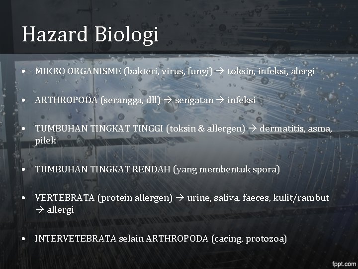 Hazard Biologi • MIKRO ORGANISME (bakteri, virus, fungi) toksin, infeksi, alergi • ARTHROPODA (serangga,