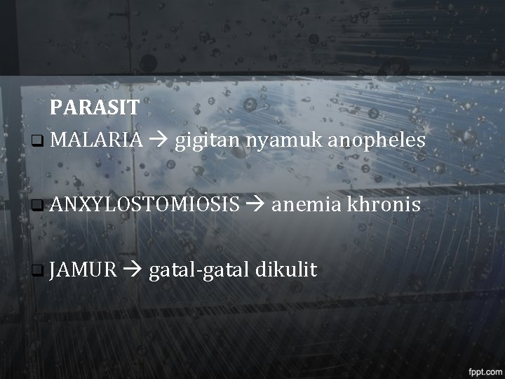 PARASIT q MALARIA gigitan nyamuk anopheles q ANXYLOSTOMIOSIS q JAMUR anemia khronis gatal-gatal dikulit