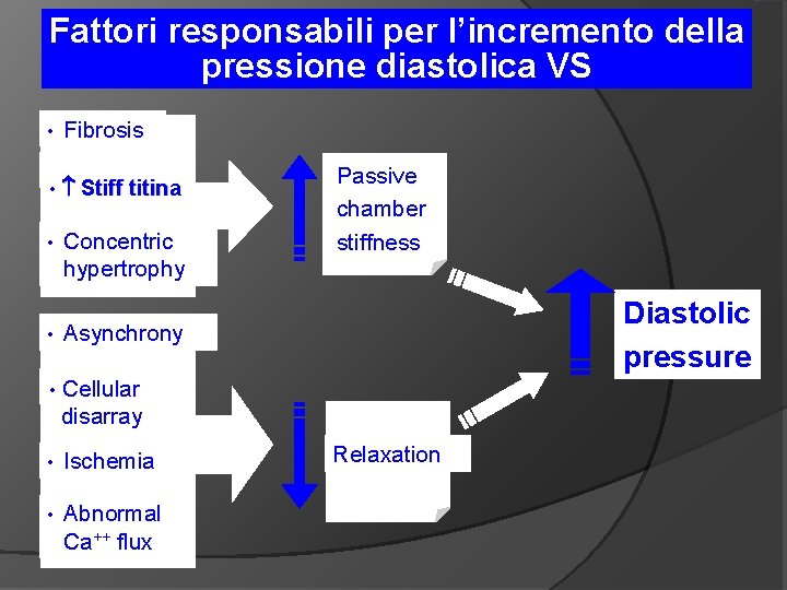 Fattori responsabili per l’incremento della pressione diastolica VS • Fibrosis • Stiff titina •
