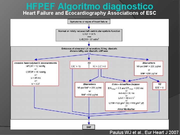 HFPEF Algoritmo diagnostico Heart Failure and Ecocardiography Associations of ESC Paulus WJ et al.