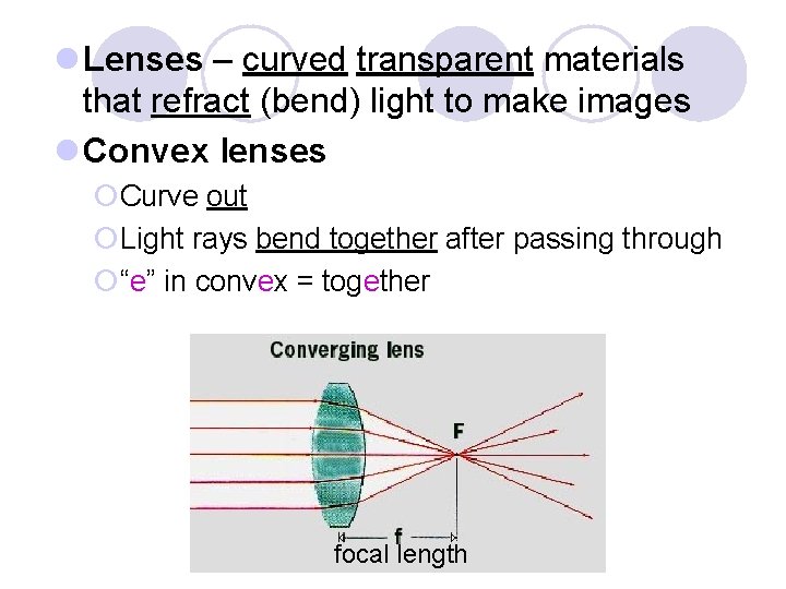 l Lenses – curved transparent materials that refract (bend) light to make images l