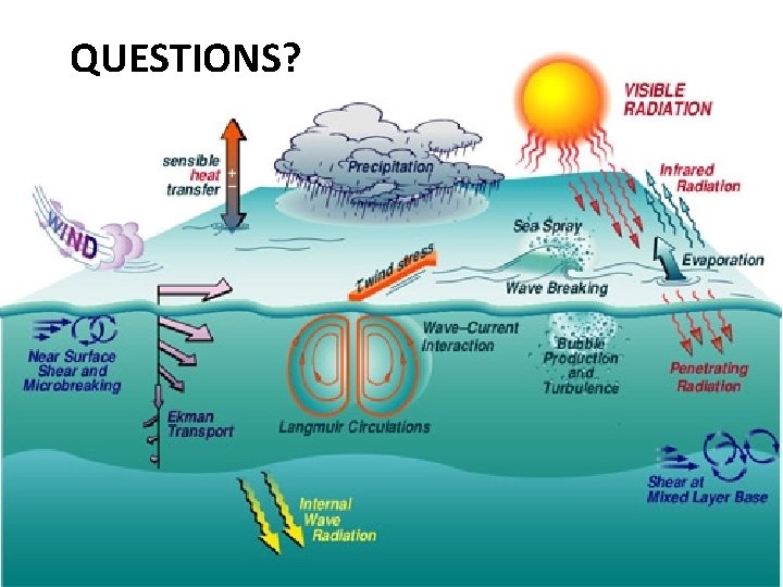 QUESTIONS? QUESTIONS?