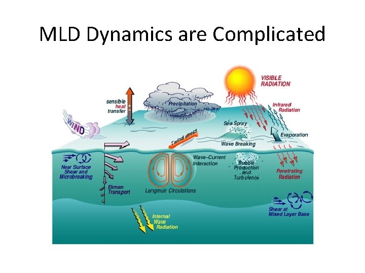 MLD Dynamics are Complicated MLD Dynamics are Complicated