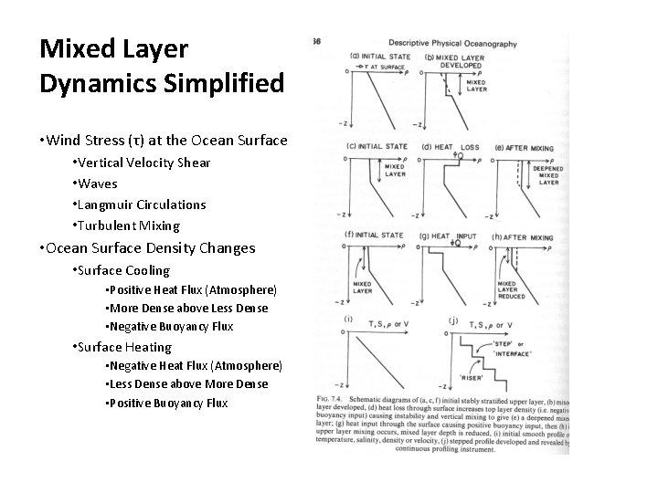 Mixed Layer Dynamics Simplified • Wind Stress (τ) at the Ocean Surface • Vertical Mixed Layer Dynamics Simplified • Wind Stress (τ) at the Ocean Surface • Vertical