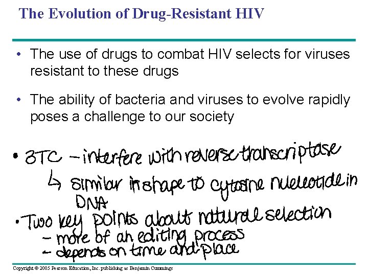 The Evolution of Drug-Resistant HIV • The use of drugs to combat HIV selects