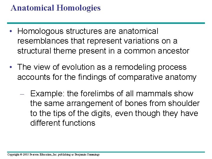 Anatomical Homologies • Homologous structures are anatomical resemblances that represent variations on a structural