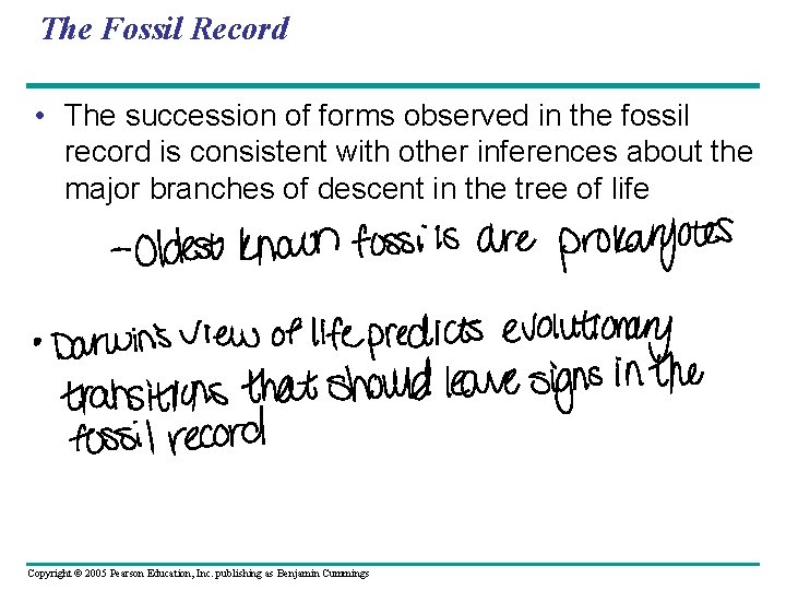 The Fossil Record • The succession of forms observed in the fossil record is