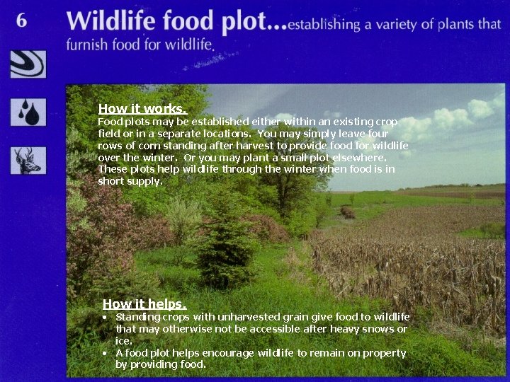 How it works. Food plots may be established either within an existing crop field