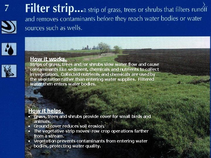 How it works. Strips of grass, trees and/or shrubs slow water flow and cause