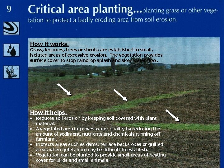 How it works. Grass, legumes, trees or shrubs are established in small, isolated areas