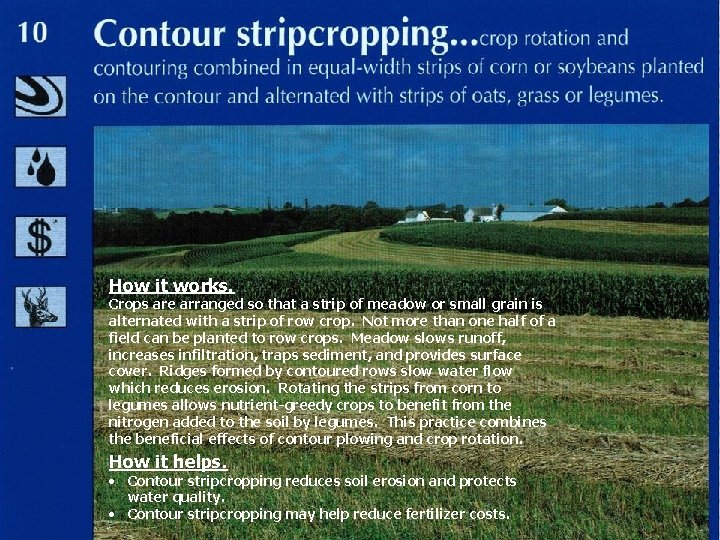 How it works. Crops are arranged so that a strip of meadow or small
