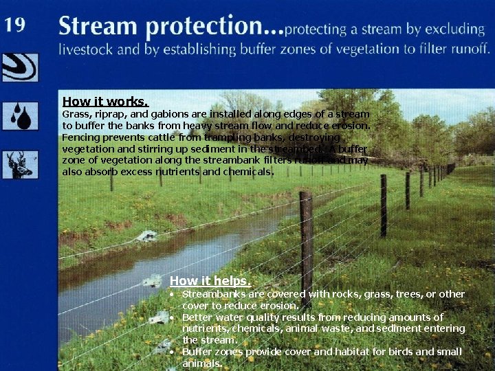 How it works. Grass, riprap, and gabions are installed along edges of a stream