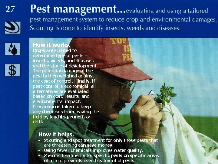 How it works. Crops are scouted to determine type of pests – insects, weeds,