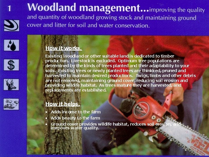 How it works. Existing Woodland or other suitable land is dedicated to timber production.