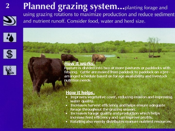 How it works. Pasture is divided into two or more pastures or paddocks with