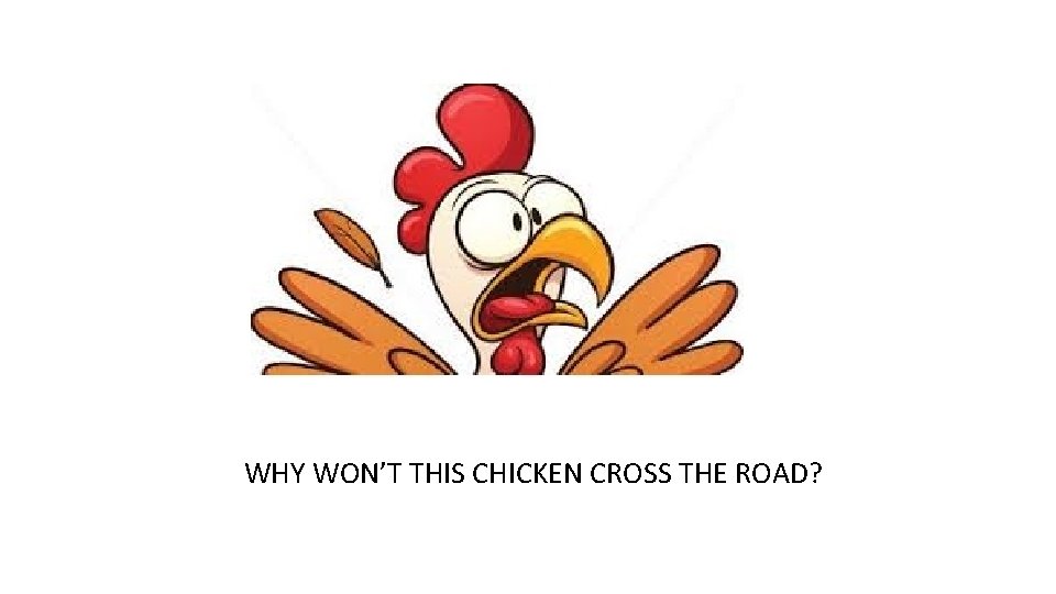 WHY WON’T THIS CHICKEN CROSS THE ROAD? 