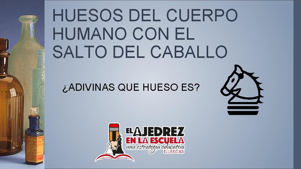 HUESOS DEL CUERPO HUMANO CON EL SALTO DEL CABALLO ¿ADIVINAS QUE HUESO ES? 