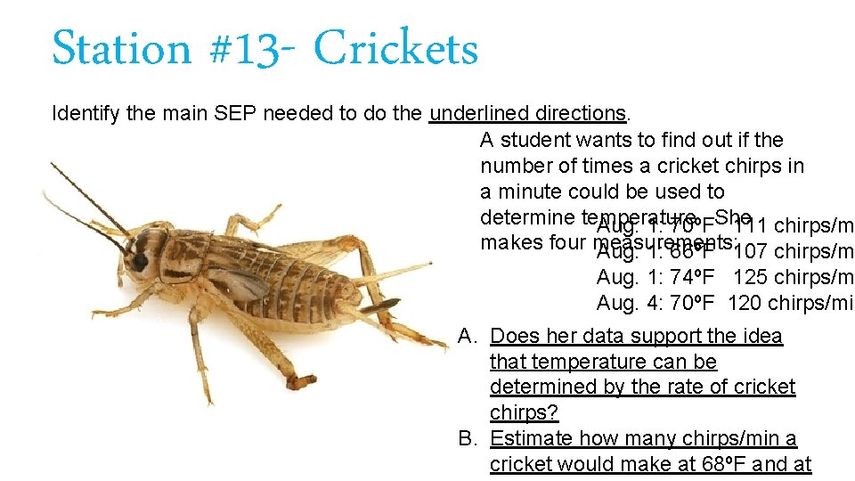 Station #13 - Crickets Identify the main SEP needed to do the underlined directions.