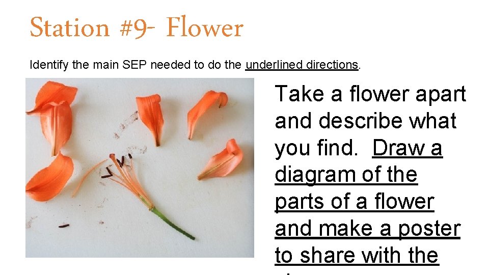 Station #9 - Flower Identify the main SEP needed to do the underlined directions.