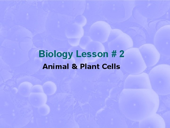 Biology Lesson # 2 Animal & Plant Cells 