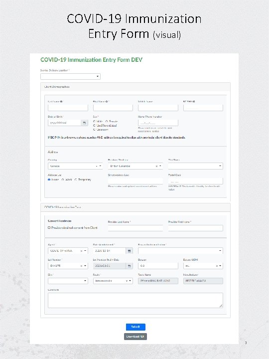 COVID-19 Immunization Entry Form (visual) 3 