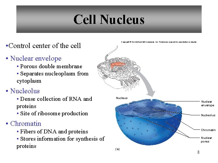 Cell Nucleus Copyright © The Mc. Graw-Hill Companies, Inc. Permission required for reproduction or