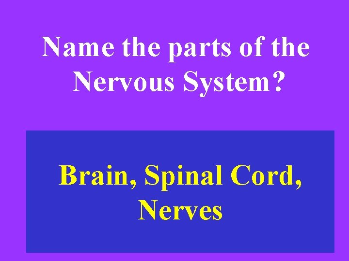Name the parts of the Nervous System? Brain, Spinal Cord, Nerves 