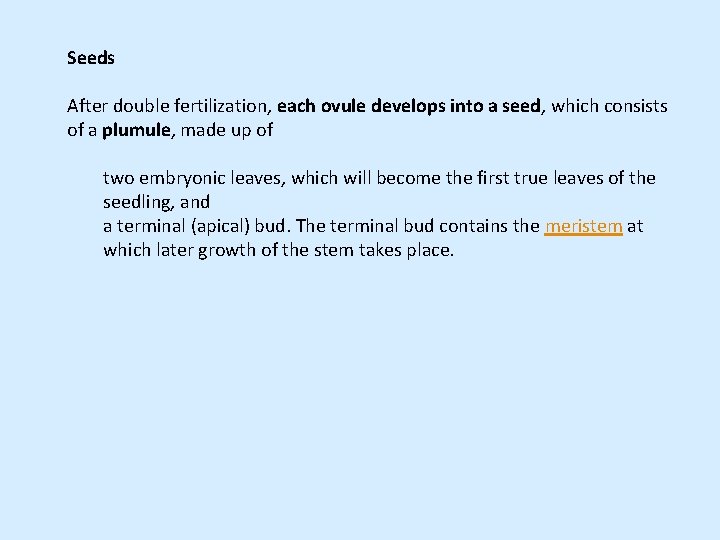 Seeds After double fertilization, each ovule develops into a seed, which consists of a