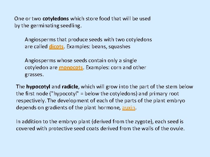 One or two cotyledons which store food that will be used by the germinating