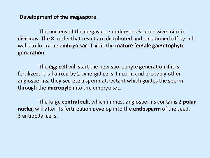 Development of the megaspore The nucleus of the megaspore undergoes 3 successive mitotic divisions.