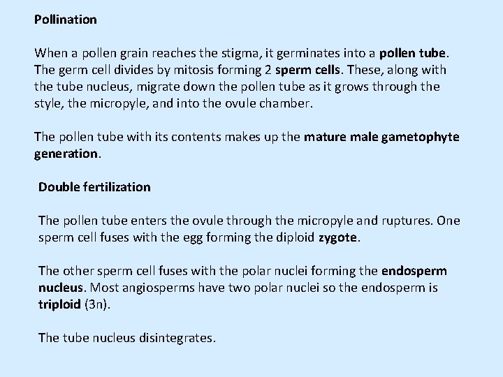Pollination When a pollen grain reaches the stigma, it germinates into a pollen tube.