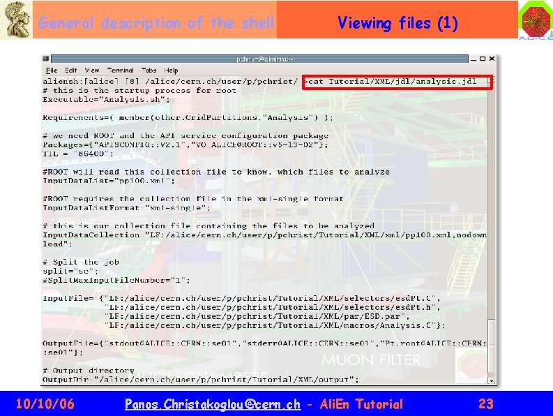 General description of the shell 10/10/06 Viewing files (1) Panos. Christakoglou@cern. ch - Ali.