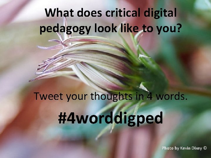 What does critical digital pedagogy look like to you? Tweet your thoughts in 4