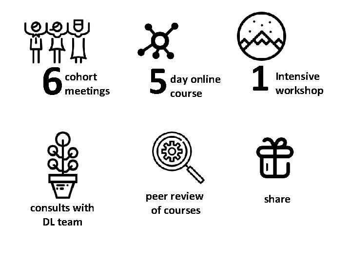 6 cohort meetings consults with DL team 5 day online course peer review of