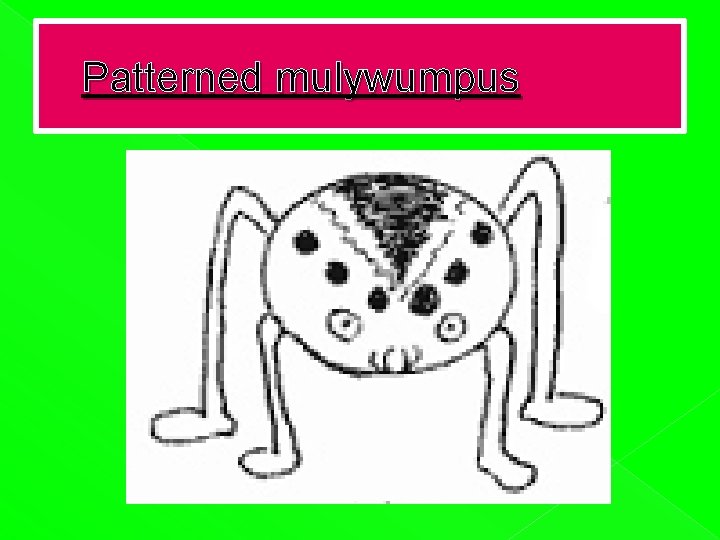 Patterned mulywumpus 