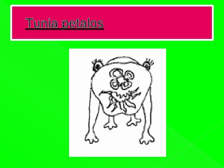Tunia petalos 