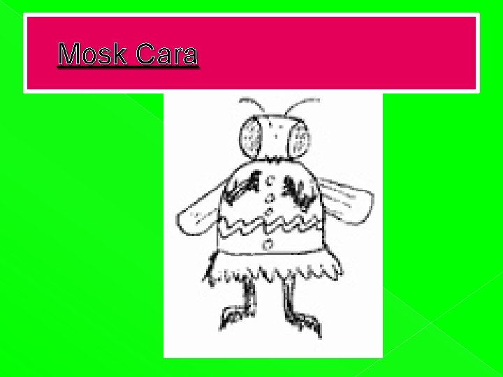 Mosk Cara 