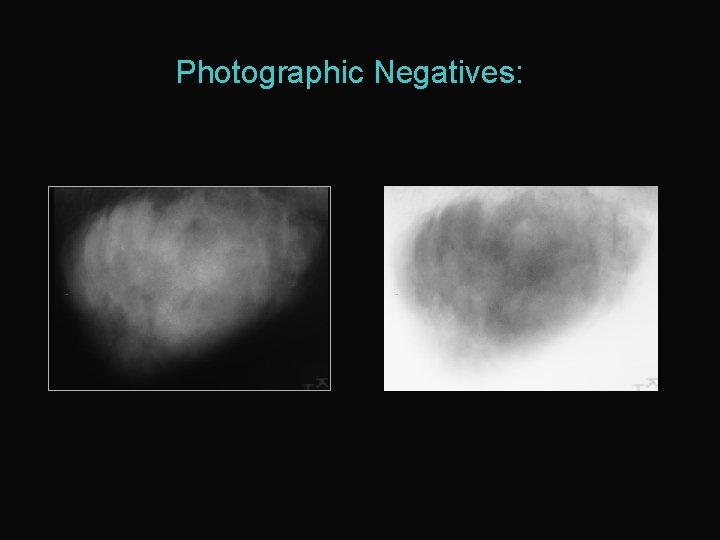 Photographic Negatives: 