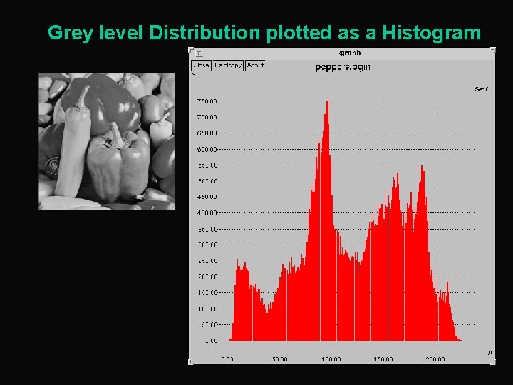 Grey level Distribution plotted as a Histogram 