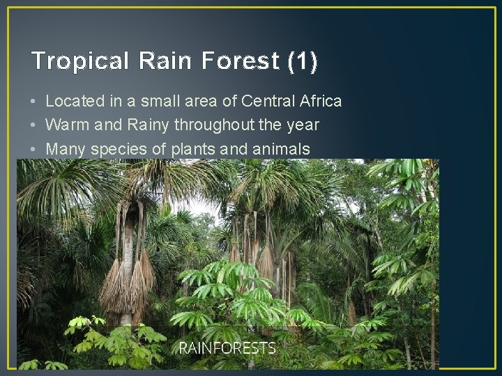 Tropical Rain Forest (1) • Located in a small area of Central Africa •