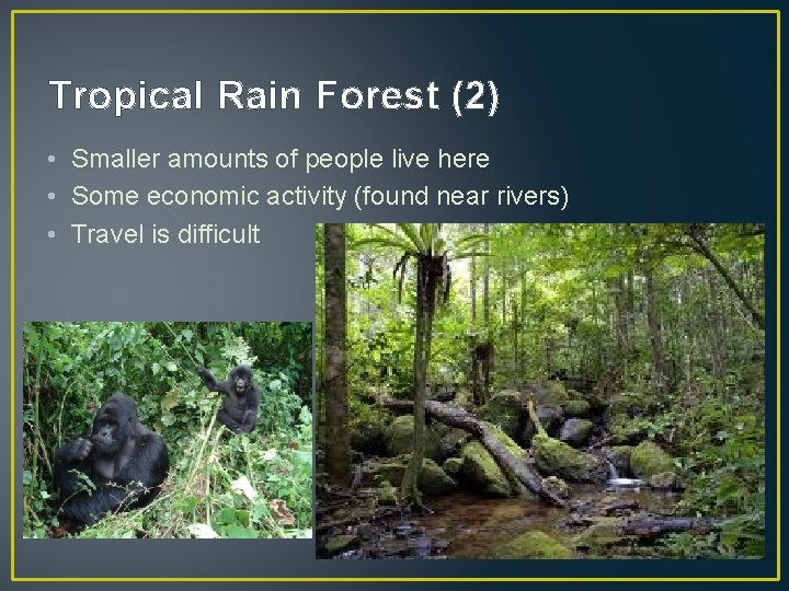 Tropical Rain Forest (2) • Smaller amounts of people live here • Some economic