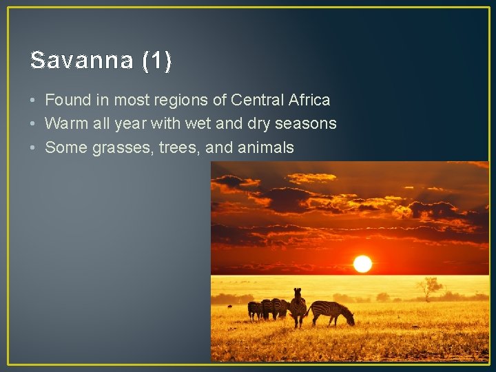 Savanna (1) • Found in most regions of Central Africa • Warm all year