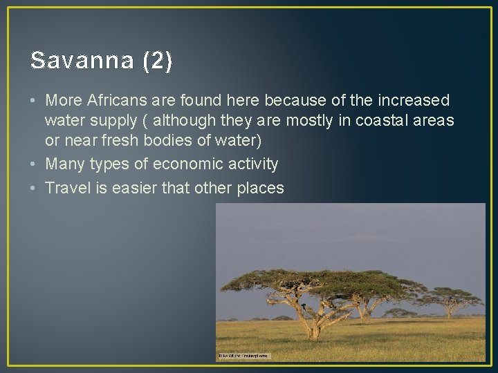 Savanna (2) • More Africans are found here because of the increased water supply